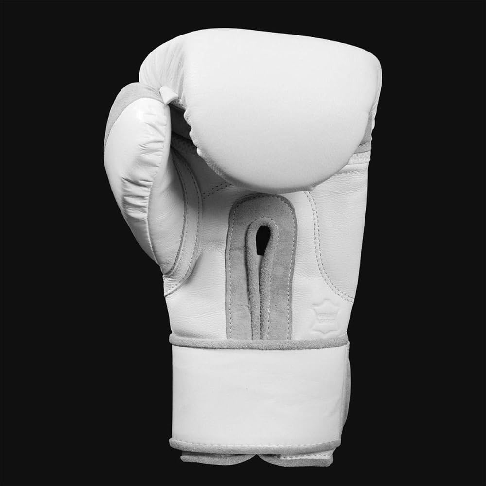 Amazon.co.jp: Title Boxing ホワイトトレーニンググローブ 2.0 16 oz