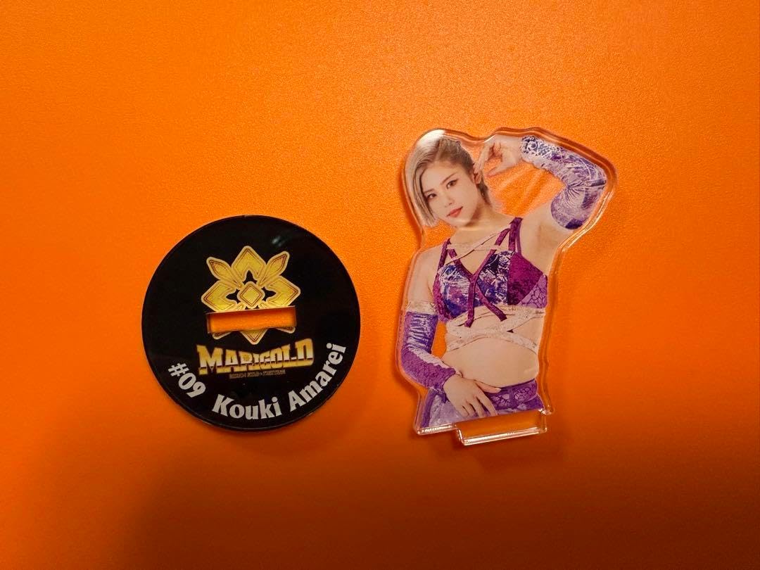 女子プロレス マリーゴールド トレーディングカード 天麗皇希 トレカ 6