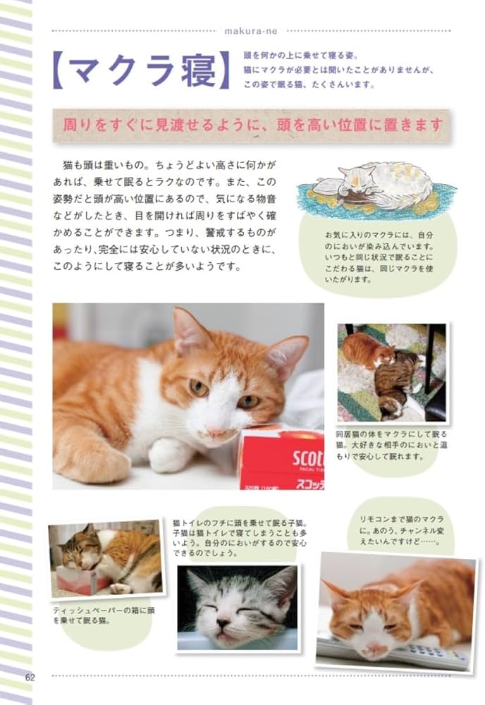 Amazon.co.jp: 猫語辞典 オールカラー: にゃんこのキモチがわかっ