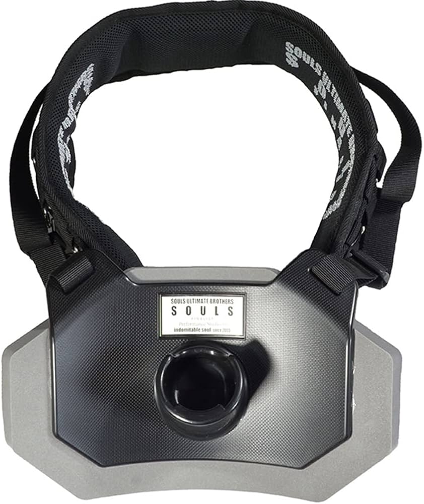 Amazon.co.jp: ソウルズ ギンバルサポートベルト 2022年モデル