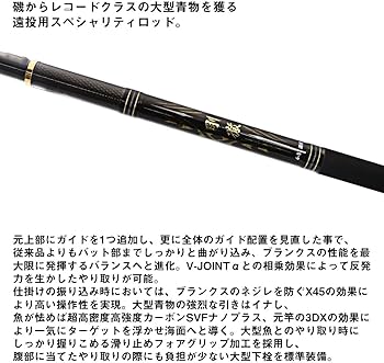Amazon | ダイワ(DAIWA) 遠投竿 剛徹 6-51遠投・K | ダイワ(DAIWA