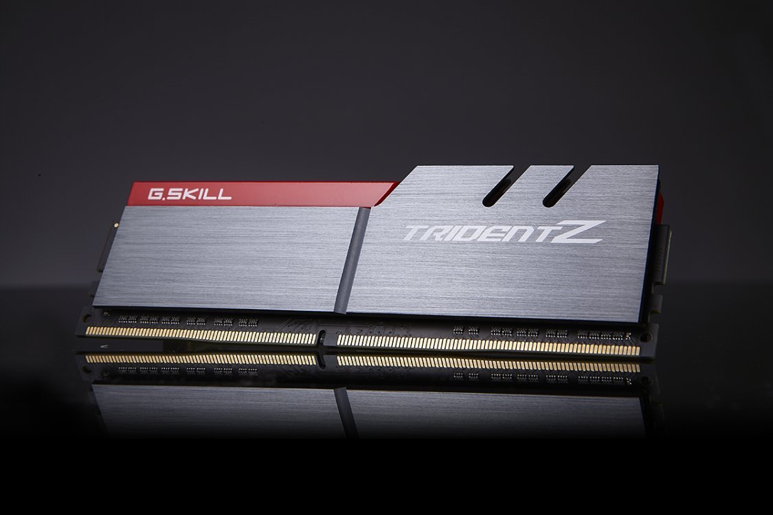 G.SKILL TridentZ Series F4-3600C16D-16GTZ 16 GB (8 GB x 2) DDR4