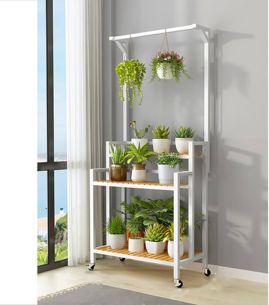 Amazon.co.jp: [GZGZ] 