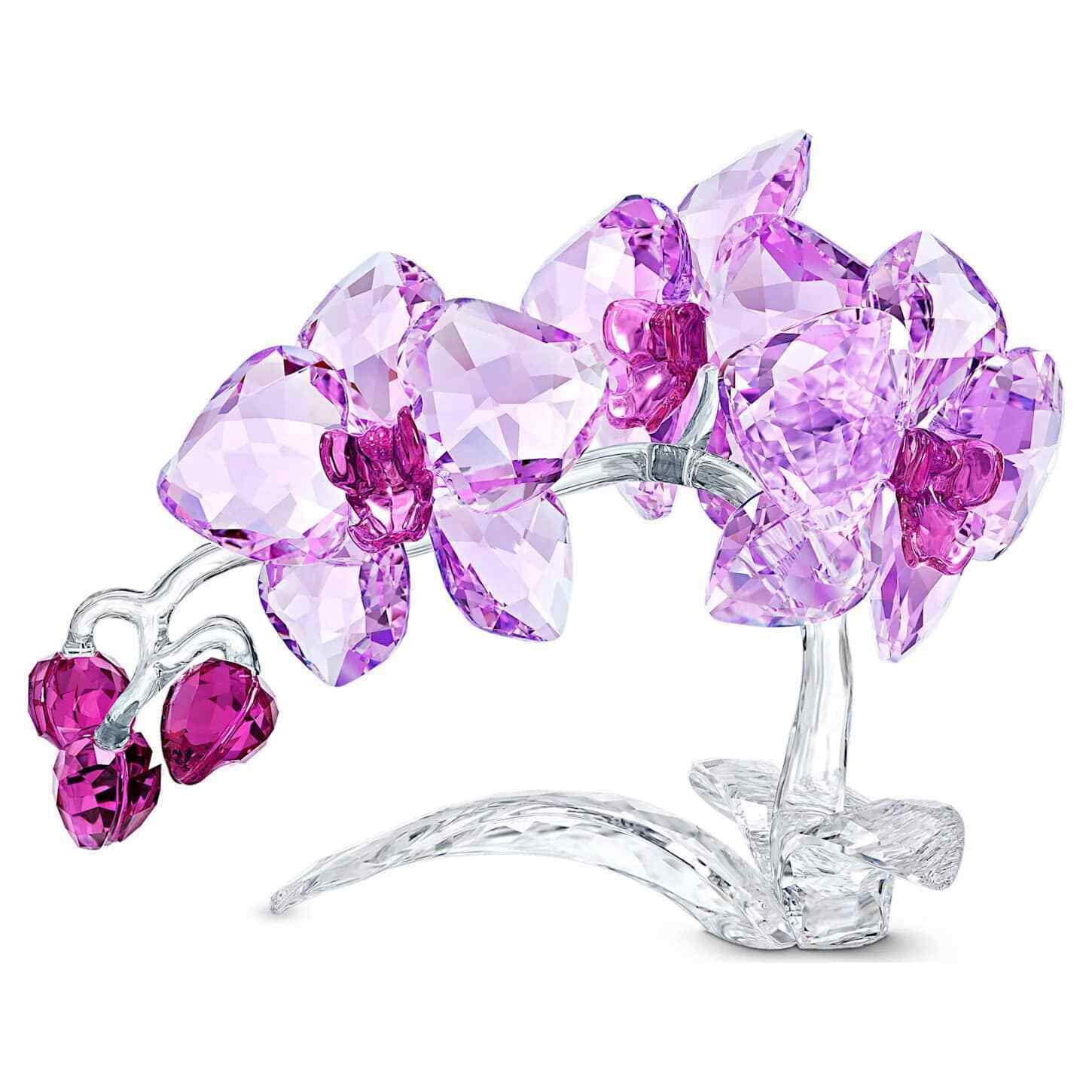 Amazon.com: SWAROVSKI Crystal Crystal Flowers Orchid : Home & Kitchen