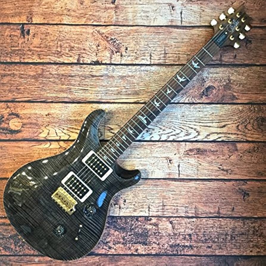 Amazon | Paul Reed Smith (PRS) Custom 24 Artist Package GB (Gray