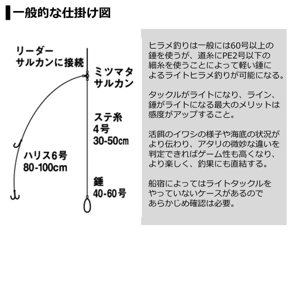 Amazon | ダイワ(DAIWA) 20 ライトヒラメX M-240・R | ダイワ(DAIWA