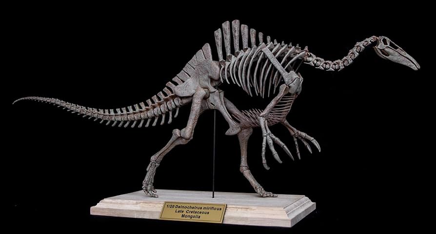 Amazon | 恐竜博物館 1/20 サイズ デイノケイルス Deinocheirus 骨格