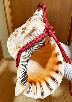 ☀︎Gracias☀︎です 大型修験道法螺貝39.5㎝ 山伏 密教 魔除け