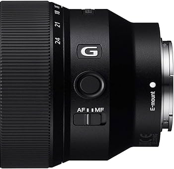Amazon.com : Sony - FE 12-24mm F4 G Wide-Angle Zoom Lens (SEL1224G