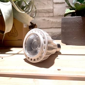 Amazon.co.jp: 15W植物育成ライトGrowLight PAR20 6000K 3個 : おもちゃ