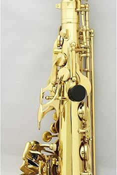 Amazon | SELVA/初心者向けアルトサックス入門セット Alto Sax SAS-100