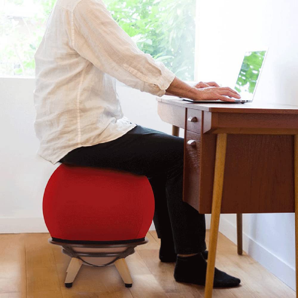 Amazon.co.jp: サンゴチェア iimo 35chair 0622 エタニティレッド 産後