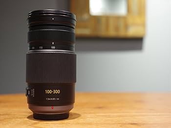 Amazon.com : Panasonic LUMIX G VARIO 100-300mm F4.0-5.6 MEGA O.I.S