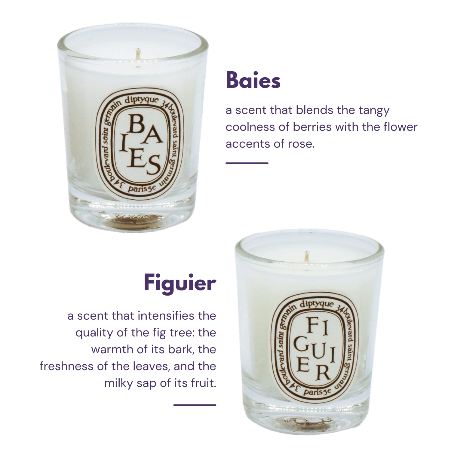 Amazon.co.jp: Diptyque 5個セット ホームアロマテラピーワックス