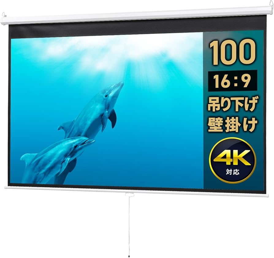 Amazon | イーサプライ プロジェクタースクリーン 100インチ 16:9 吊り