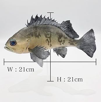 Amazon | メバル白 フィギュア 魚 模型 ハンドメイド レプリカ