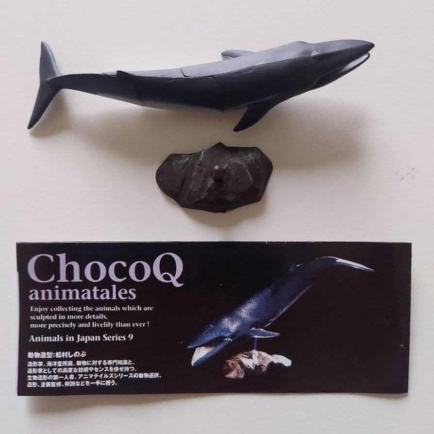 チョコQ第7弾ツチクジラ チョコQ第7弾ツチクジラ チョコQ第7