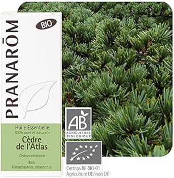 Amazon.co.jp: プラナロム アトラスシダー（BIO） 10ml