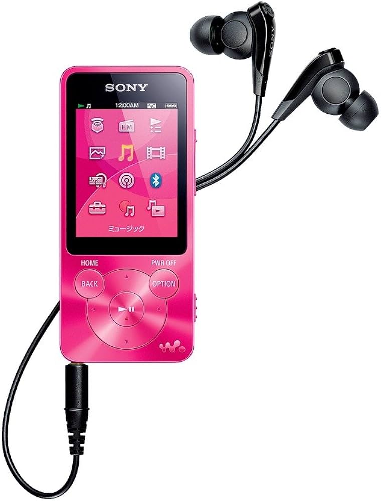 Amazon.co.jp: ソニー SONY ウォークマン Sシリーズ NW-S13 : 4GB