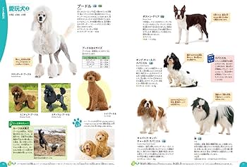 Amazon.co.jp: イヌ・ネコ・ペット (学研の図鑑LIVE（ライブ