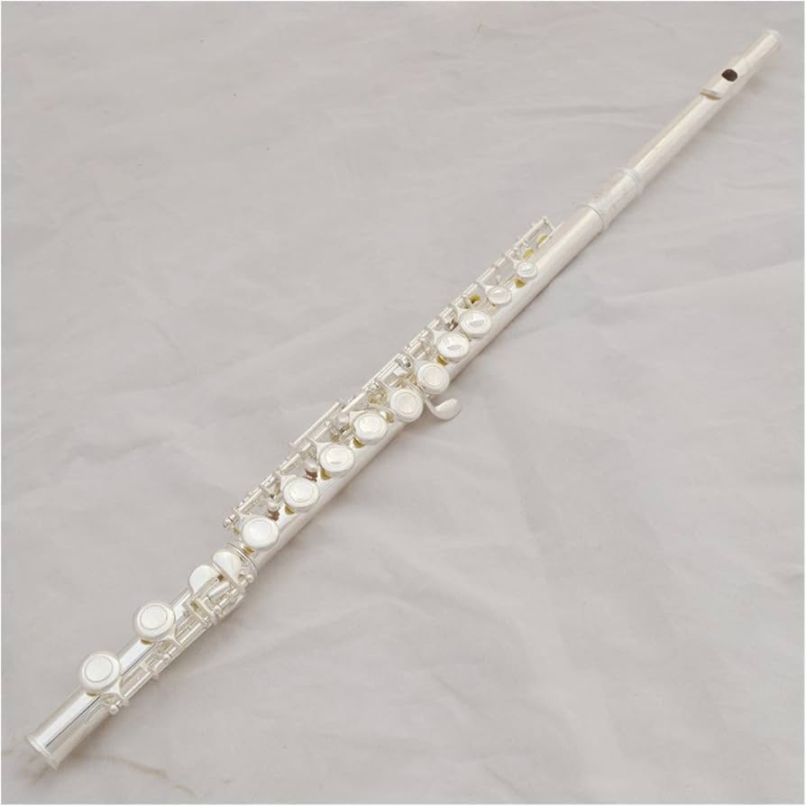 Amazon.co.jp: フルートシルバーメッキプロフェッショナルフルート楽器