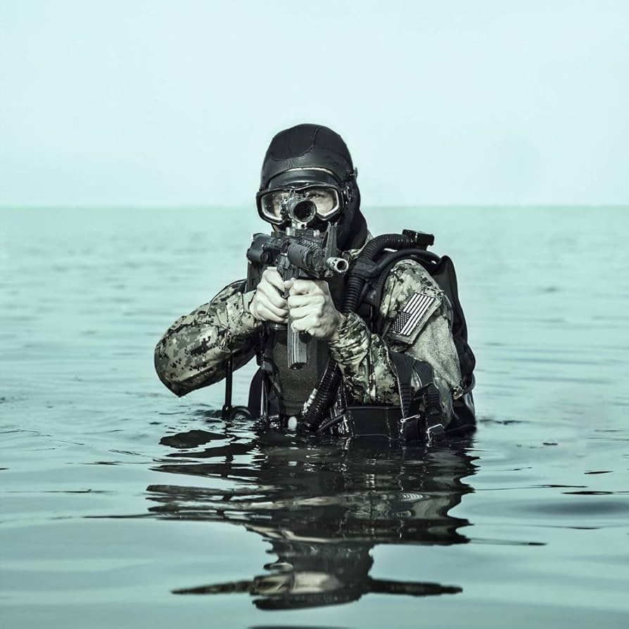 Amazon.com: Posterazzi PSTZAB101362MLARGE Navy Seal frogman with