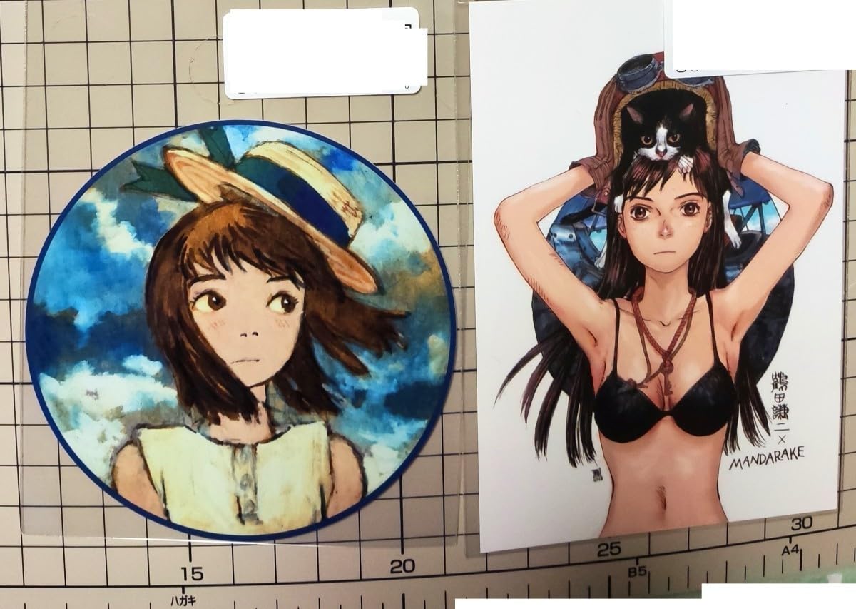 Amazon.co.jp: 鶴田謙二 限定品 描き下ろし ステッカー カラーイラスト