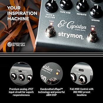 Amazon.com: Strymon El Capistan V2 dTape Echo Guitar Pedal for