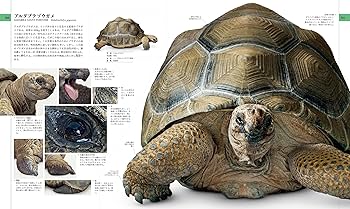 Amazon.co.jp: 地球博物学大図鑑 新訂版 : スミソニアン協会