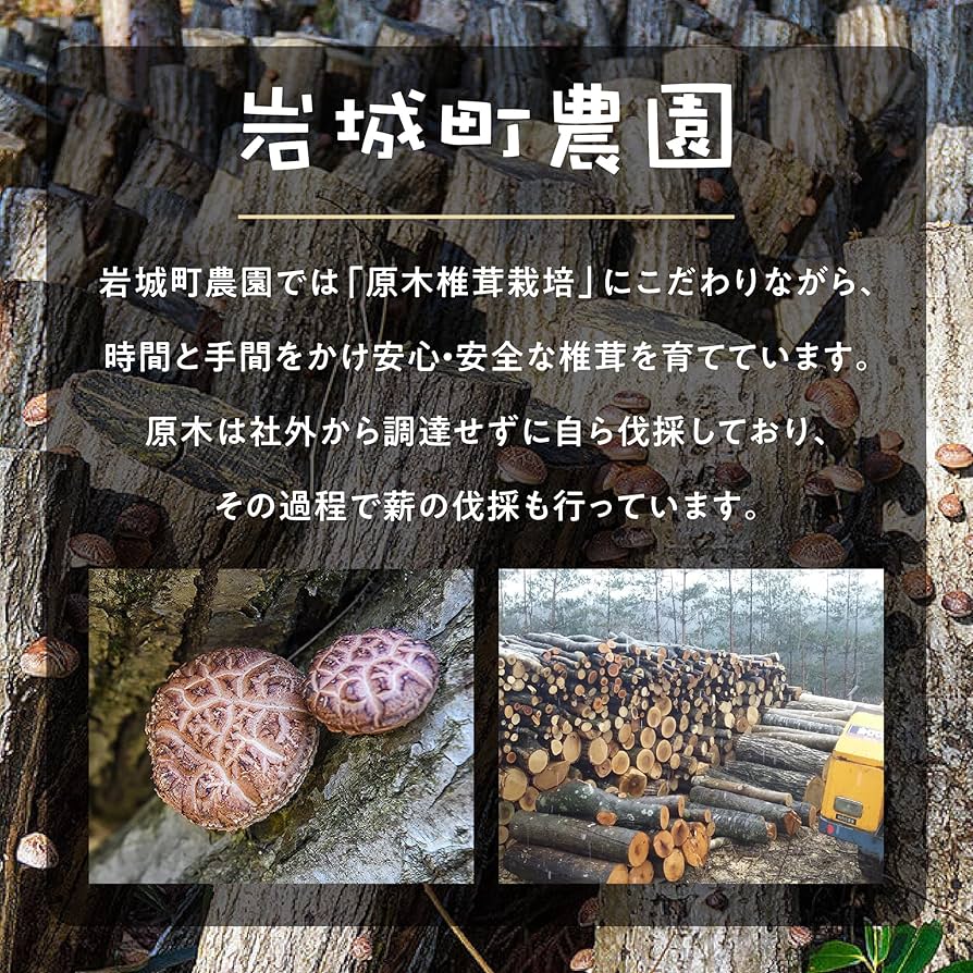 Amazon.co.jp: みんなの薪 大サイズ 広葉樹ミックスセット 20cm～25cm