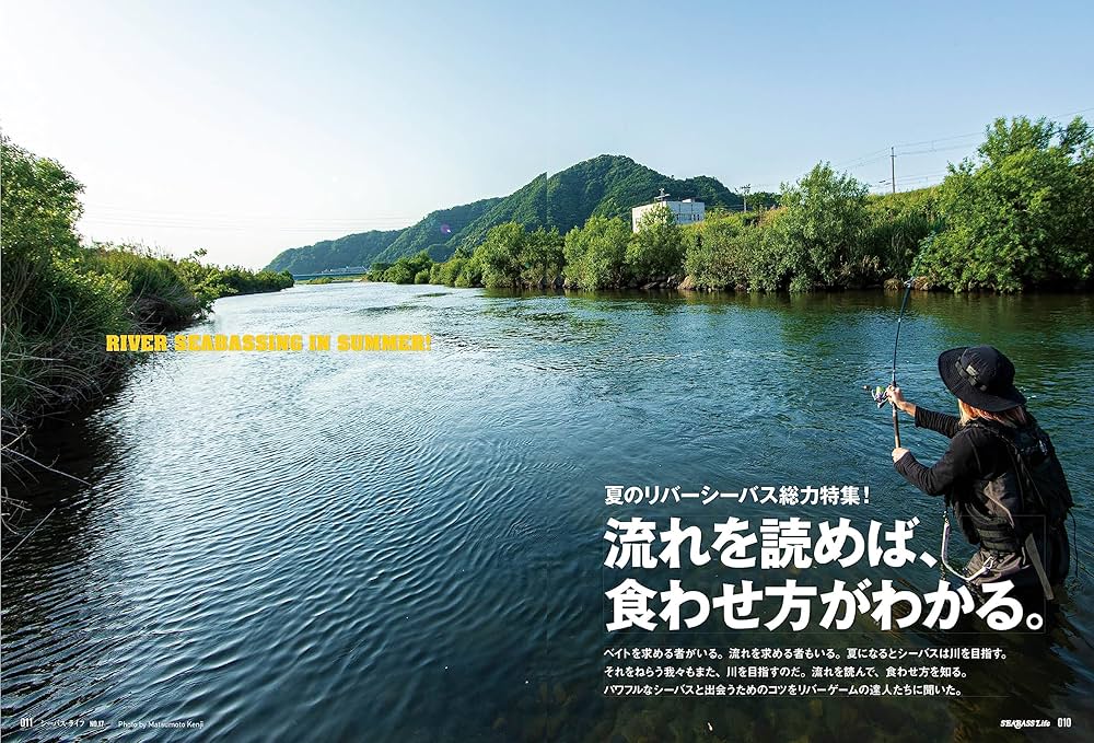 SEABASS Life No.1〜17 セット SEABASS Life No.1〜17 セット