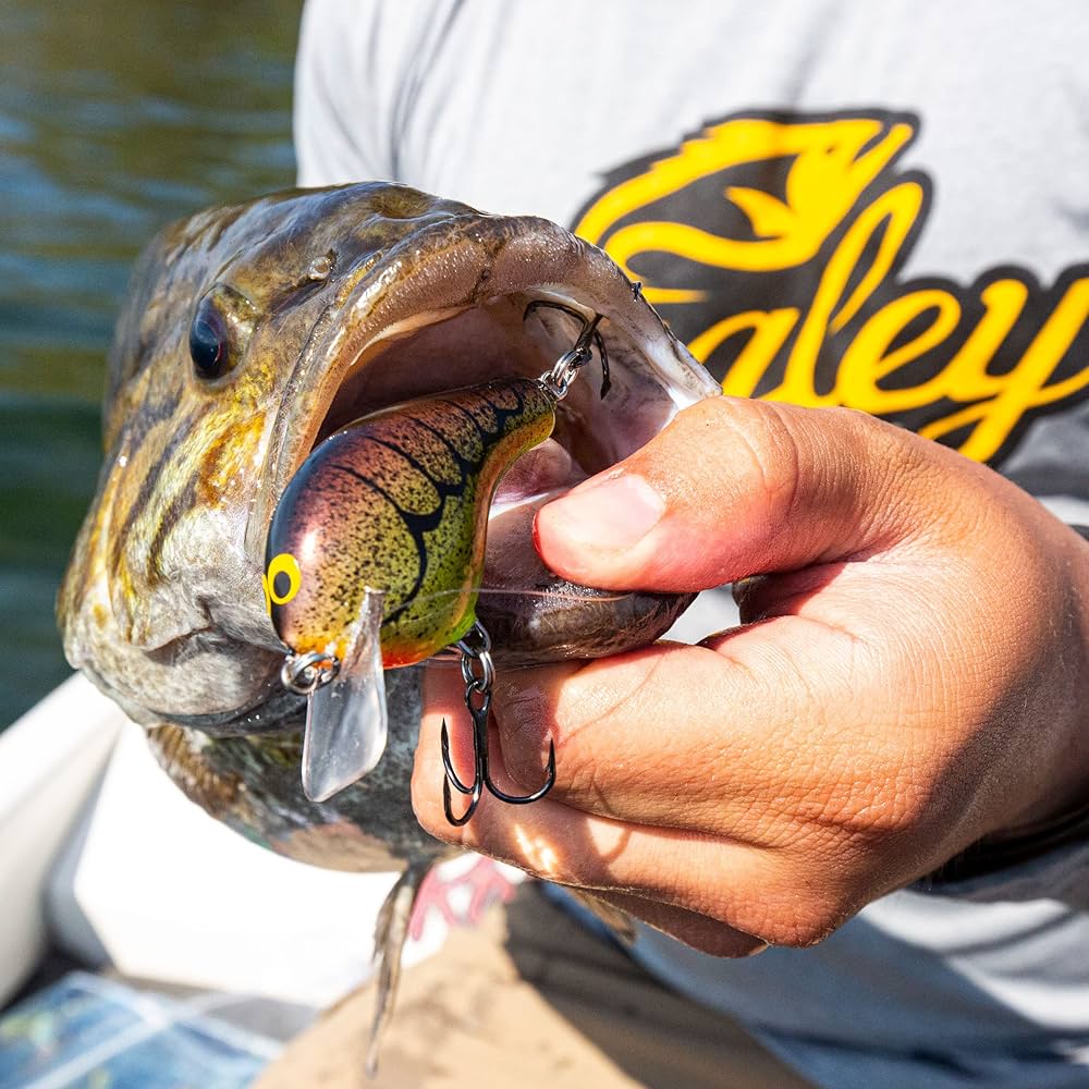 Amazon.co.jp: バグリー bagley バルサB BB1TSO