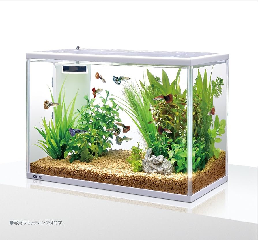 Amazon | GEX AQUARIUM サイレントフィット400 静音・省電力サイレント