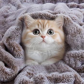 Amazon.com: Hyde Lane Soft Faux Rabbit Fur Throw Blanket, Luxury