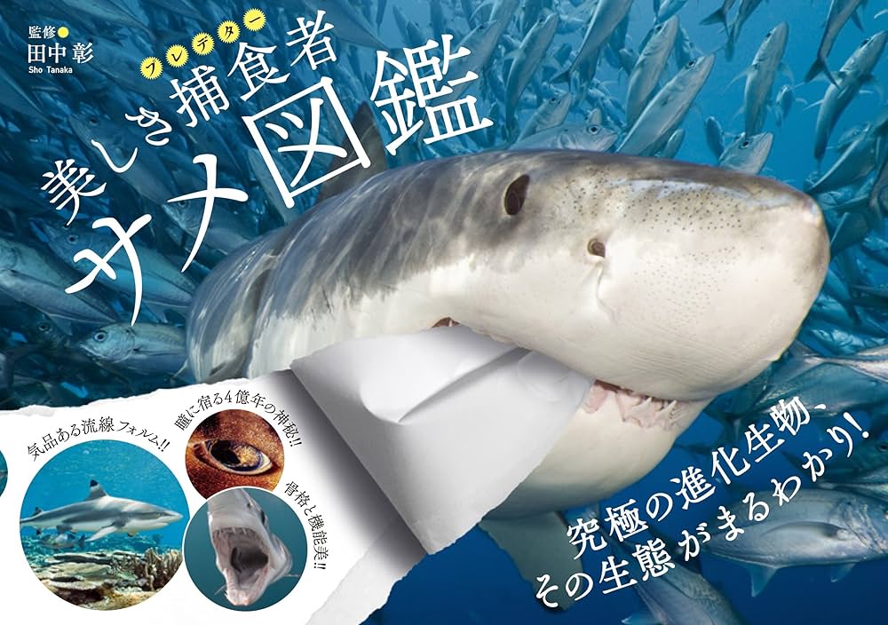 美しき捕食者 サメ図鑑 | 田中 彰 |本 | 通販 | Amazon