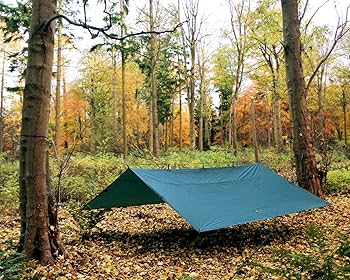 Amazon | DD Hammocks DD タープ 4×4 (オリーブグリーン) | DD