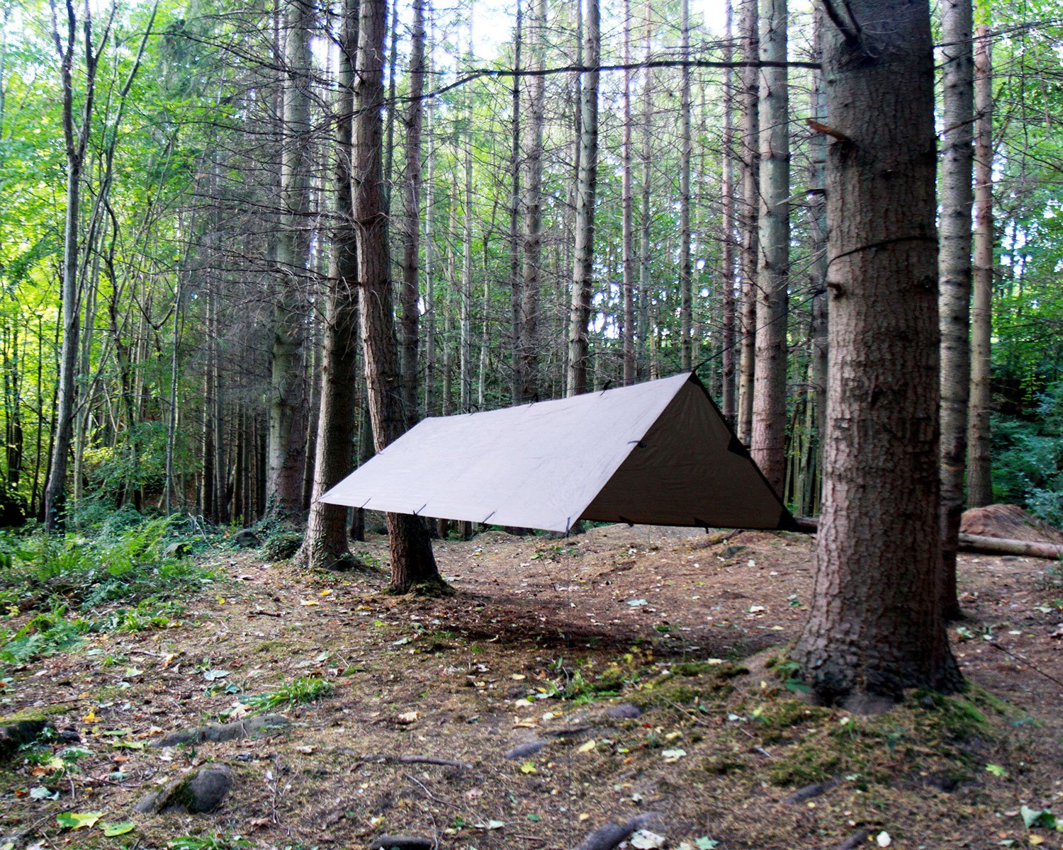 DDタープ 4×4 ブラウンDDタープ 4×4 coyote brown コヨーテブラウン DD