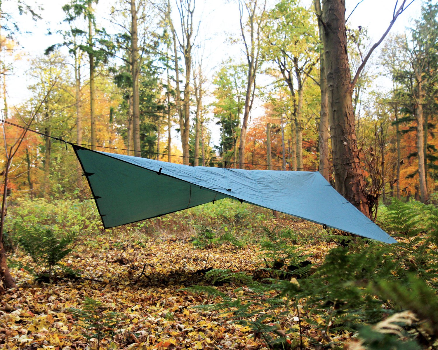Amazon | DD Hammocks DD タープ 4×4 (オリーブグリーン) | DD