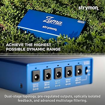 Amazon.com: Strymon Zuma R300 Expandable Guitar Effects Pedal