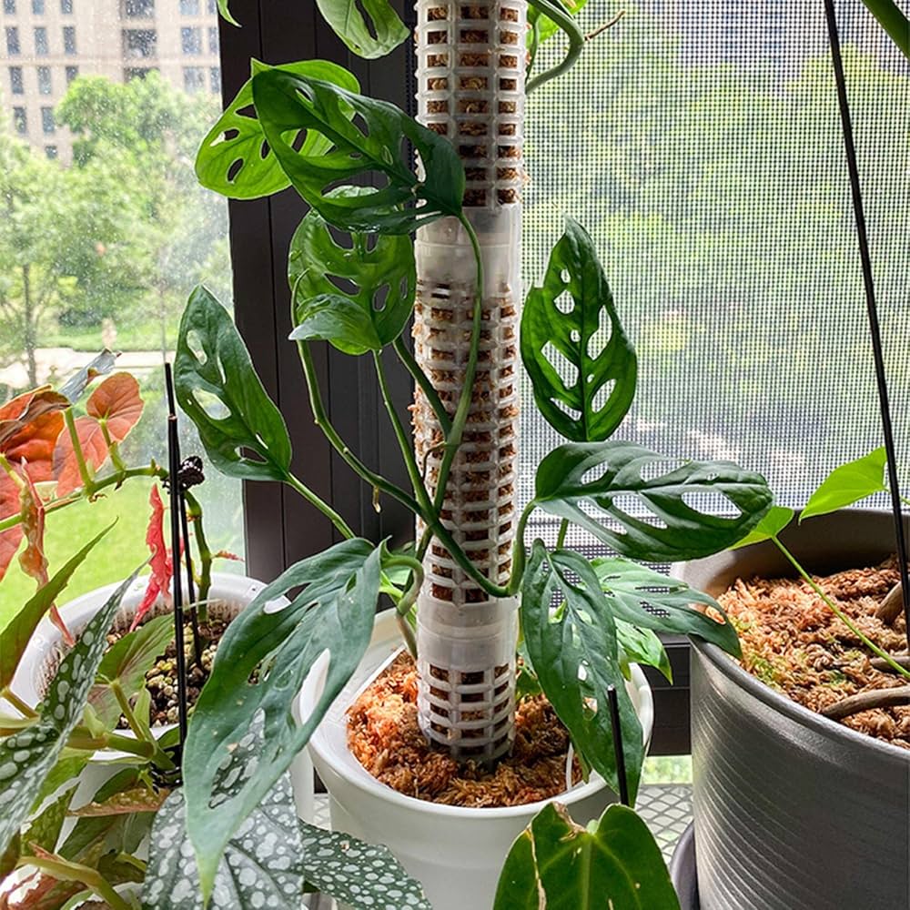 モスポール水苔入り済 生産プロの秘訣植物用上り棒180本まとめ29cmサイズ