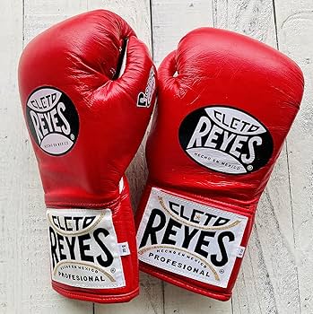 Amazon.co.jp: REYES/レイジェス ボクシンググローブ ひも式 safetec