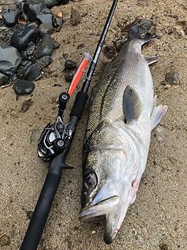Amazon | RippleFisher Runner Exceed 102M Nano Plug Model/リップル