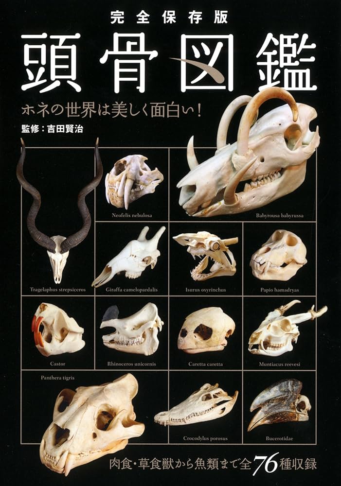 完全保存版 頭骨図鑑 | 吉田 賢治 |本 | 通販 | Amazon