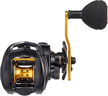 Amazon | AbuGarcia (アブガルシア) KUROFUNE PH (黒船LT) 左巻き 船