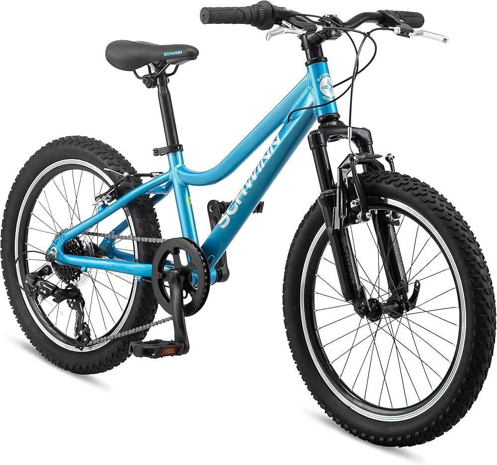 Amazon | Schwinn(シュウィン) High Timber ALマウンテンバイク ユース