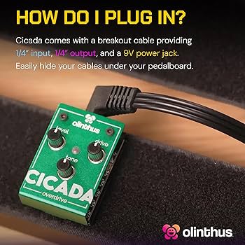 Amazon.com: Olinthus Olinthus Cicada Overdrive – World's Smallest