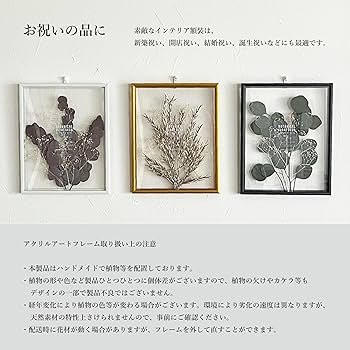 Amazon.co.jp: RingLeaf ボタニカル フロート額装 自然素材のアート