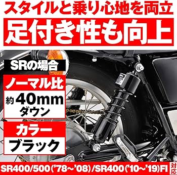 Amazon | デイトナ(Daytona) レブル250/500(17-21) SR400/500(78-20