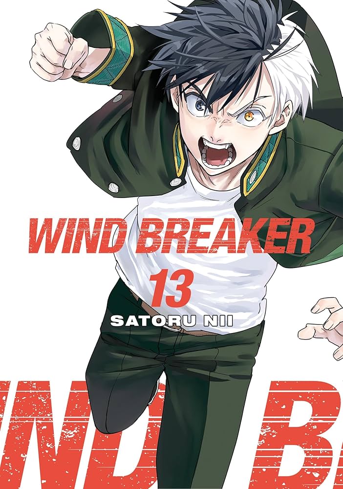 Amazon.com: WIND BREAKER Vol. 13 eBook : Nii, Satoru, Nii, Satoru
