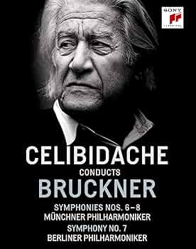 81JJc-w+vpS._AC_UF350,